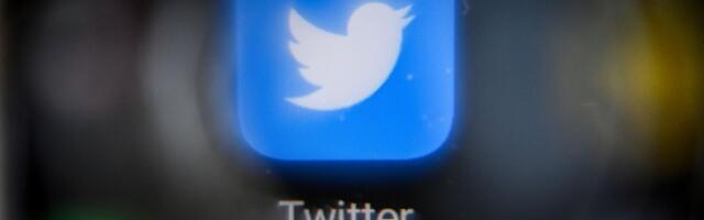 Elon Musk Abandoned the Name ‘Twitter,’ This Startup Wants to Claim it