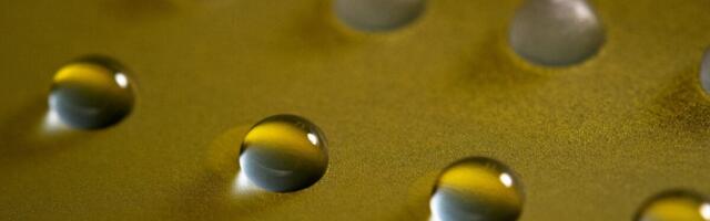 This Fungus Can Make Water Freeze