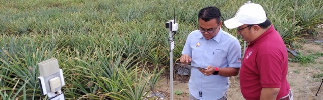 Smart farming with IoT and cloud in Malaysia