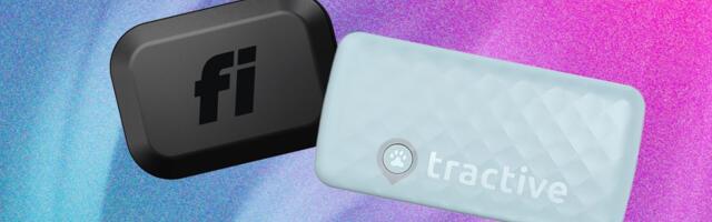 Smart Cat Collars: Which Is Best for Health and GPS Tracking?