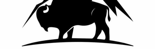 Buy 100% Grass Fed & Grass Finished New Mexican Ground Bison