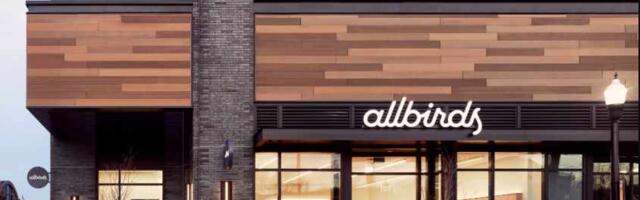 Allbirds pivots from shoes to AI after 99% collapse, stock surges 300% on NewBird AI plan
