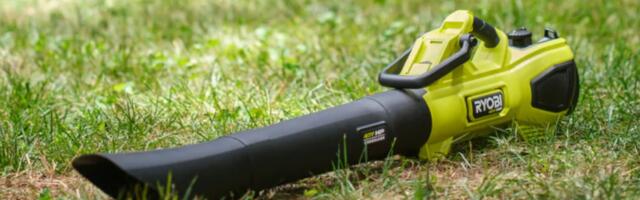 Common Problems With Ryobi Leaf Blowers (According To Users)