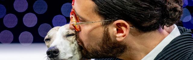 How to watch Crufts 2026 for *FREE* — Live Streams, Schedule & Preview