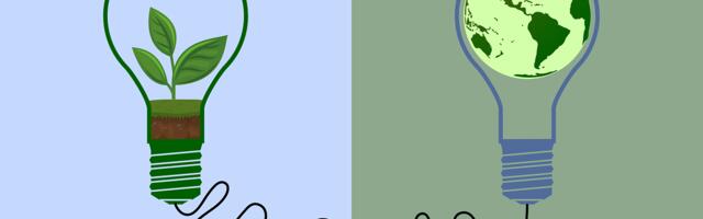 5 Ways to Be More Efficient This Summer