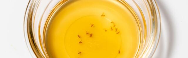 Fruit Flies Are Here. An Entomologist Explains How to Get Rid of Them
