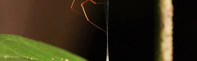 June research roundup: 6 cool science stories we almost missed