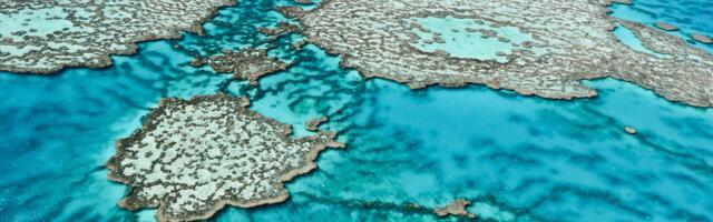 Climate Change Comes for the Great Barrier Reef