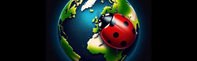 The developer of SerenityOS is building a challenger to the browser duopoly