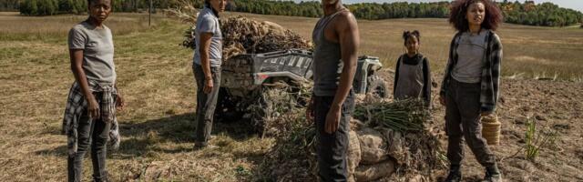 The 45 Best Movies on Hulu This Week (October 2025)