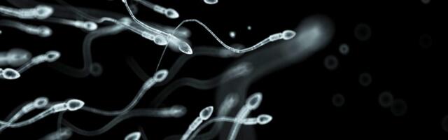 Sperm donor with rare cancer mutation fathered nearly 200 children in Europe