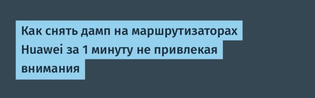 Как снять дамп на маршрутизаторах Huawei за 1 минуту не привлекая внимания