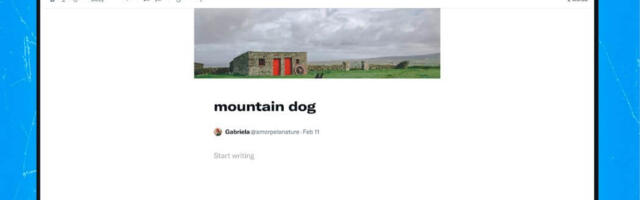 Twitter selects Canada as test market for new longform writing feature