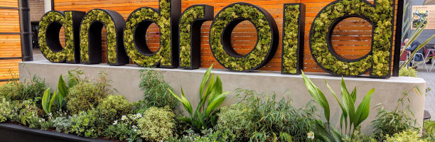 Google launches the final beta of Android 11