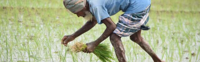 Bangladesh agritech startup iFarmer raises $2.1m in IDLC-led funding