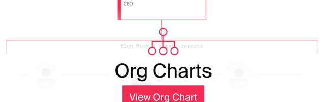 The People Running Elon Musk’s xAI