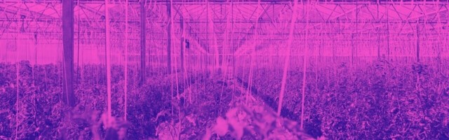 3 simple (but difficult) steps to grow your startup ecosystem