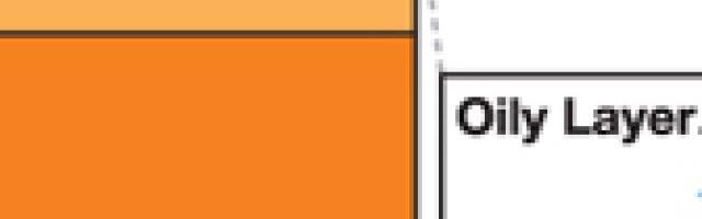 The Future of Skincare: Custom Cosmetics Powered by Visual Skin Analysis