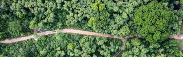 Carbon credit insurtech secures £4m investment