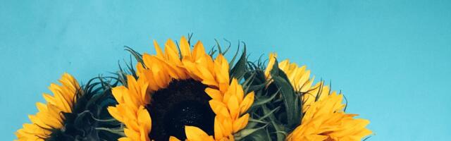 Announcing Mozilla’s ‘Responsible AI Challenge’ top prize winners