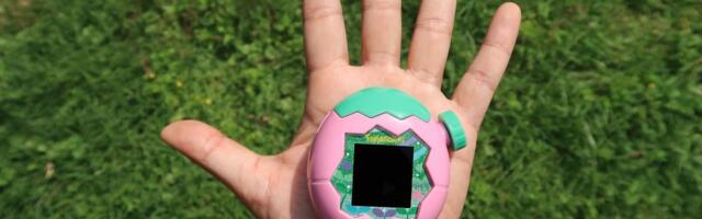 Here's the absolutely massive Tamagotchi Paradise next to other objects in the wild, for scale