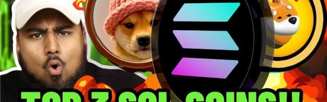 Top 3 Solana Meme Coins to Buy Before September and a New Dog Meme Coin with P2E Features