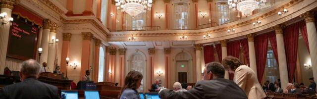 Cats, guns and ICE: 7 new California laws in 2026