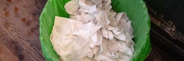 The toilet paper startup backed by Marc Benioff, Dara Khosrowshahi, and Robert Downey Jr. now sells paper towels