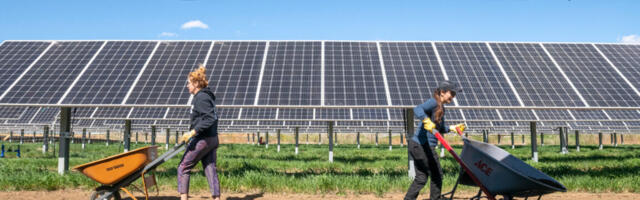 In the Southwest, solar panels in can help both photovoltaics and crops