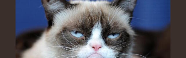 Правила сборки ПК, которые больше не работают в 2026 году