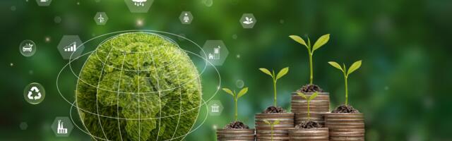 The ESG dilemma: green loans vs greenwashing 