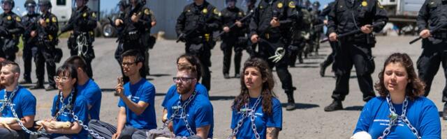 You’re more likely to go to prison for exposing animal cruelty than for committing it