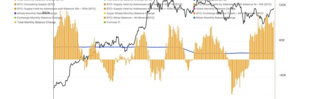 Retail Accumulation and Exchange Outflows Drive Market Optimism for Bitcoin