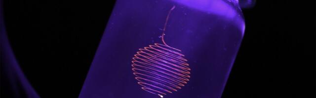 Nature-Inspired Breakthrough Yields Thinnest 3D-Printed Fibers Yet
