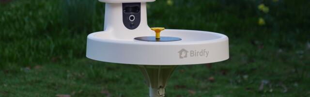 I tested the Birdfy Bird Bath Pro for a month — it’s the most entertaining bird cam yet, but there's a catch