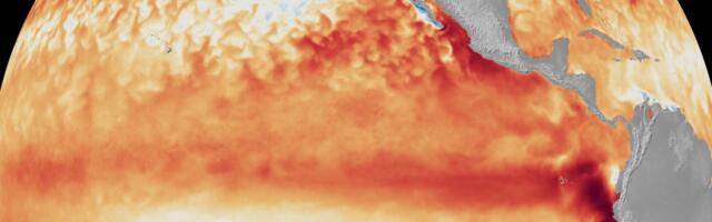 Is It a Super El Niño Year? It Could Turn the World’s Weather Upside Down