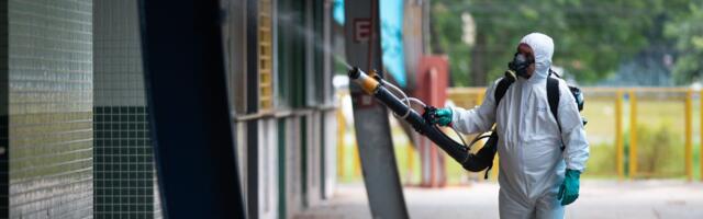 The tropical disease that’s suddenly everywhere