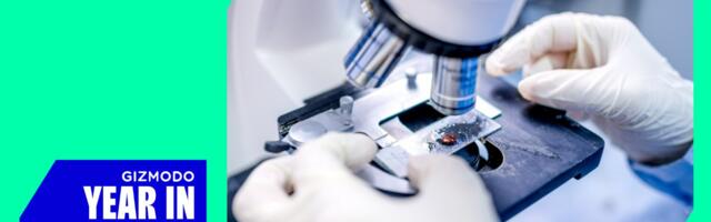 The Biggest Medical Breakthroughs of 2024