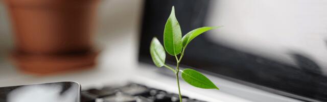 Five sustainability trends for 2025 and what they mean for startups