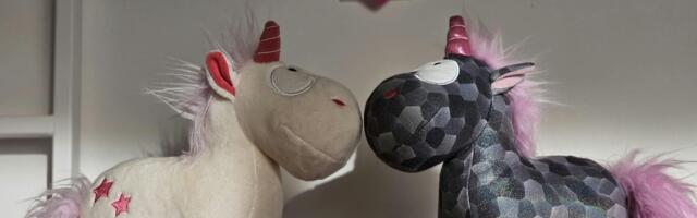 New report early stage state documents supports for Irish tech sector