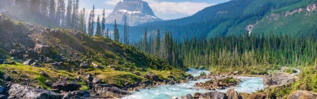 Federal budget a “huge win” for cleantech, but Canada still at risk of missing out