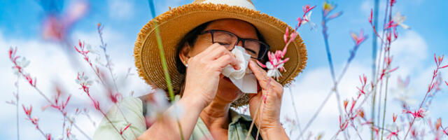 How climate change makes your allergies worse