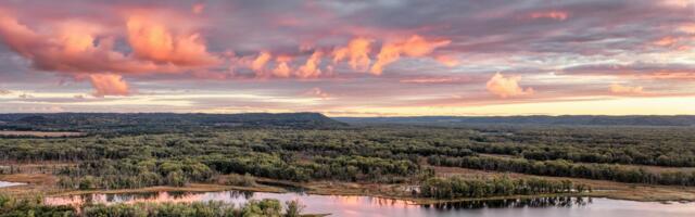 New Irish biodiversity and carbon offsetting platform