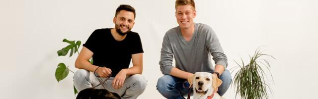 German startup Coolnis raises €300K to tackle heat sensitivity in dogs with advanced cooling tech