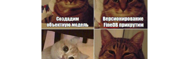 Адаптивное администрирование Sigla Vision / FineBI