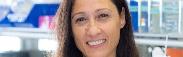 How Europe's largest innovation system is bridging the early-stage investment gap