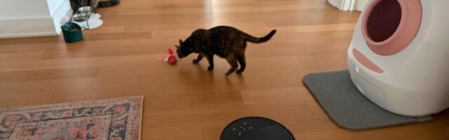 My cats and I found the 8 best vacuums for pet owners, from powerful hair pickup to livestream cameras