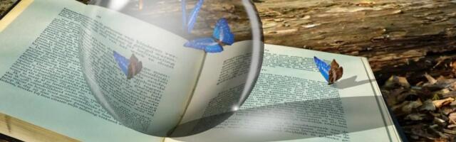 3 Key Charts to Track as Ether Strengthens Against Bitcoin