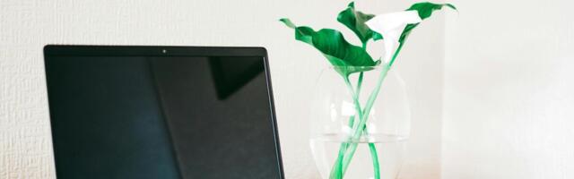 Give the gift of productivity with this Dell laptop and Microsoft Office bundle