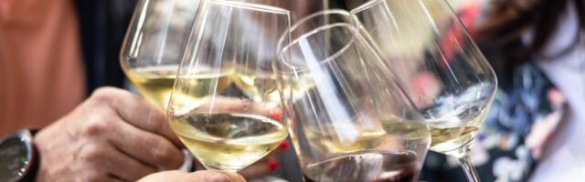 I took a corporate job in France 8 years ago. It's been tough adjusting to the social norms and office culture.